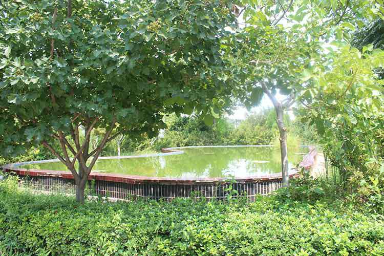 乐竞官网-乐竞(中国)机械厂区环境优美